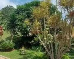chacara-venda-chacara-a-venda-no-recanto-dos-lagos-em-juiz-de-fora-minas-gerais-1112337