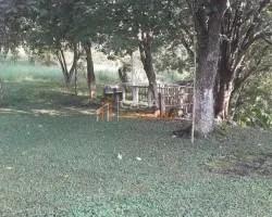 sitio-venda-sitio-a-venda-em-lima-duarte-minas-gerais-1112446