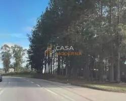 sitio-venda-sitio-a-venda-em-lima-duarte-minas-gerais-1112447