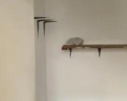 apartamento-aluguel-apartamento-para-locacao-no-vale-do-ipe-em-juiz-de-fora-minas-gerais-1099385