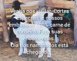chacara-venda-chacara-para-venda-em-lima-duarte-minas-gerais-1099609