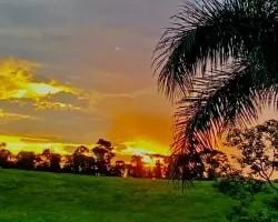 chacara-venda-chacara-para-venda-em-lima-duarte-minas-gerais-1099611