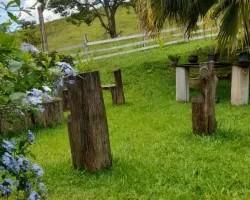 chacara-venda-chacara-para-venda-em-lima-duarte-minas-gerais-1099612