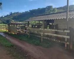 chacara-venda-chacara-para-venda-em-pedro-teixeira-minas-gerais-1099615
