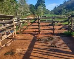 chacara-venda-chacara-para-venda-em-pedro-teixeira-minas-gerais-1099629
