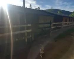 chacara-venda-chacara-para-venda-em-pedro-teixeira-minas-gerais-1099618
