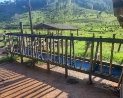 chacara-venda-chacara-para-venda-em-pedro-teixeira-minas-gerais-1099624