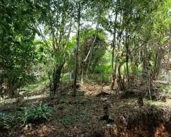 chacara-venda-chacara-a-venda-no-barreira-do-triunfo-em-juiz-de-fora-minas-gerais-1099656