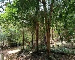 chacara-venda-chacara-a-venda-no-barreira-do-triunfo-em-juiz-de-fora-minas-gerais-1099651