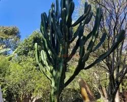 casa-venda-casa-a-venda-no-industrial-em-juiz-de-fora-minas-gerais-1099743