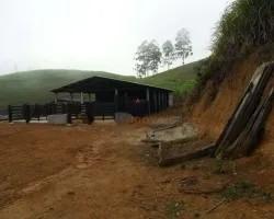 chacara-venda-chacara-a-venda-em-santos-dumont-minas-gerais-1101562