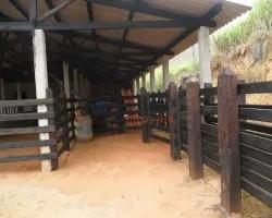 chacara-venda-chacara-a-venda-em-santos-dumont-minas-gerais-1101565